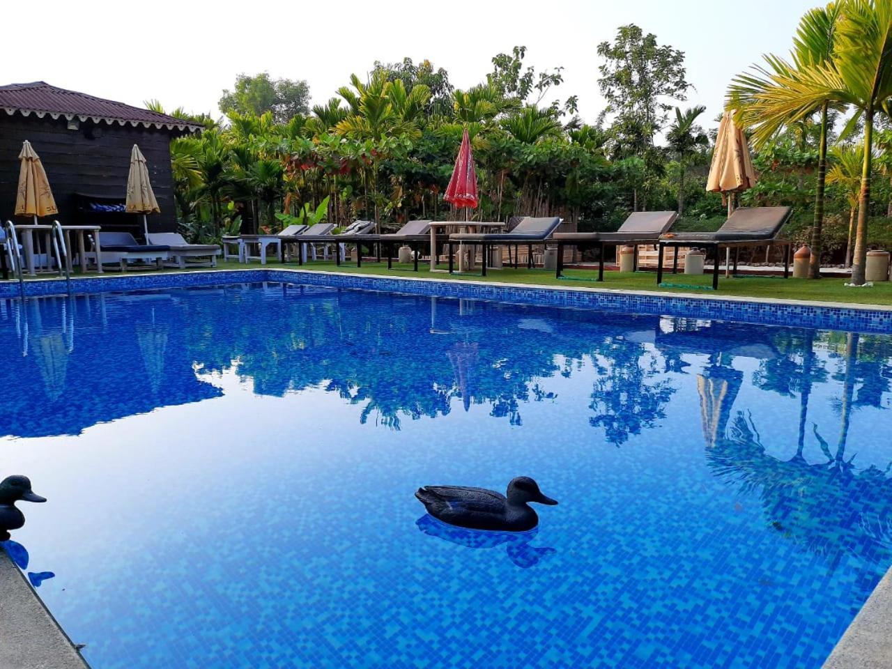 Go Green Spice & Eco Resort Cavelossim Dış mekan fotoğraf