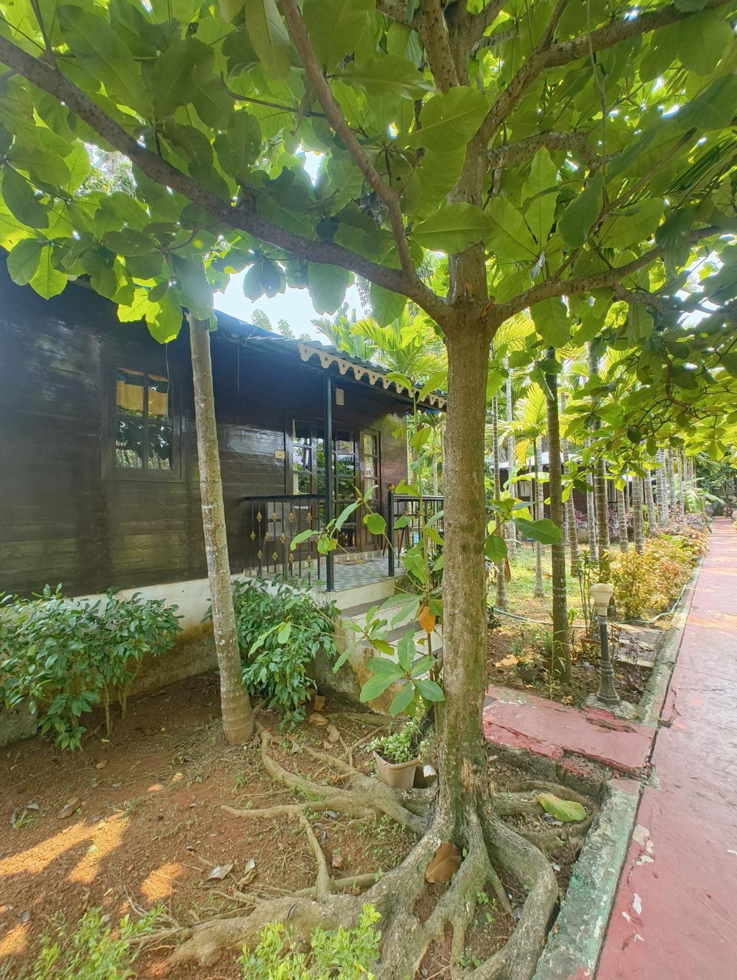 Go Green Spice & Eco Resort Cavelossim Dış mekan fotoğraf