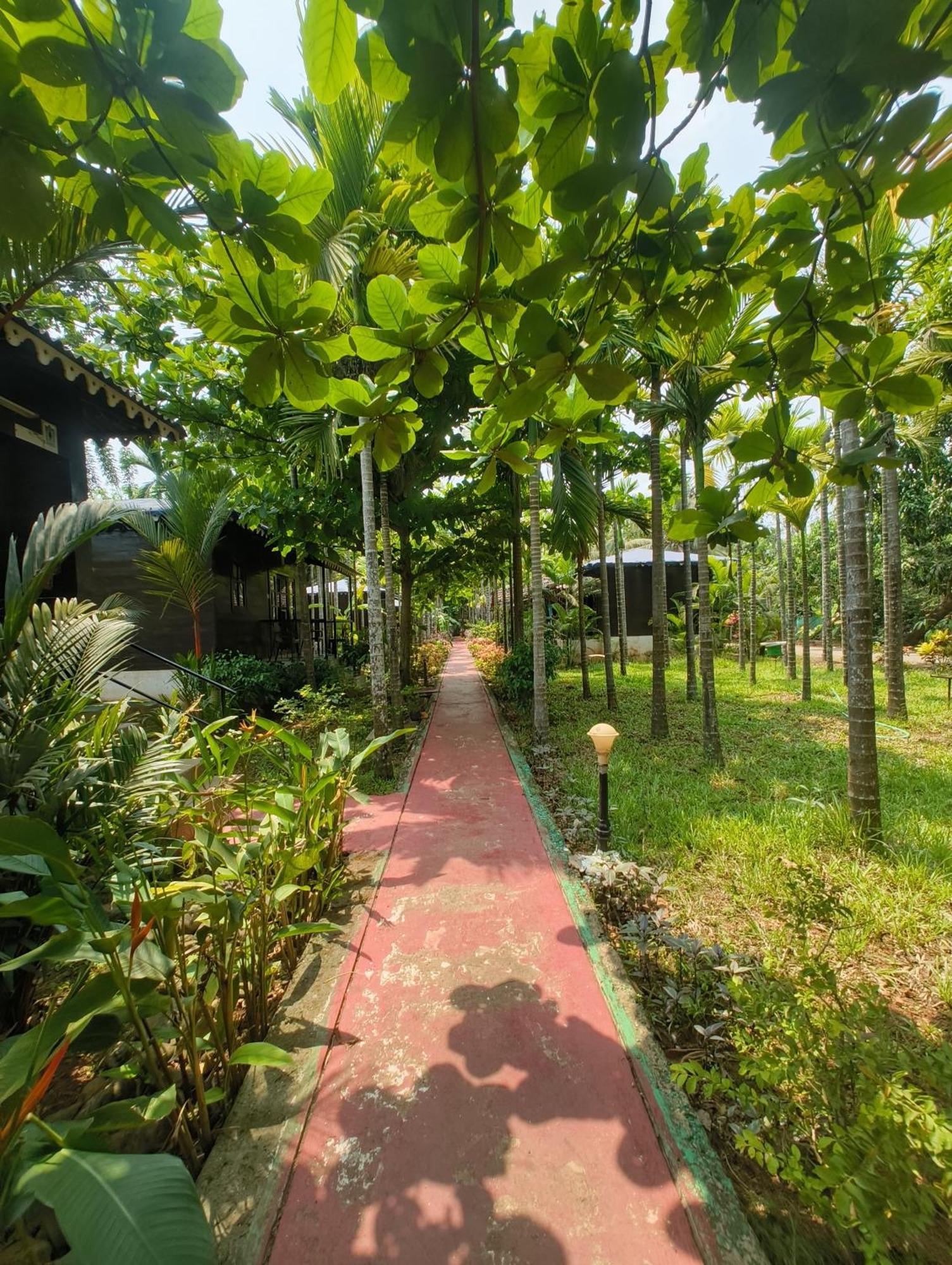 Go Green Spice & Eco Resort Cavelossim Dış mekan fotoğraf